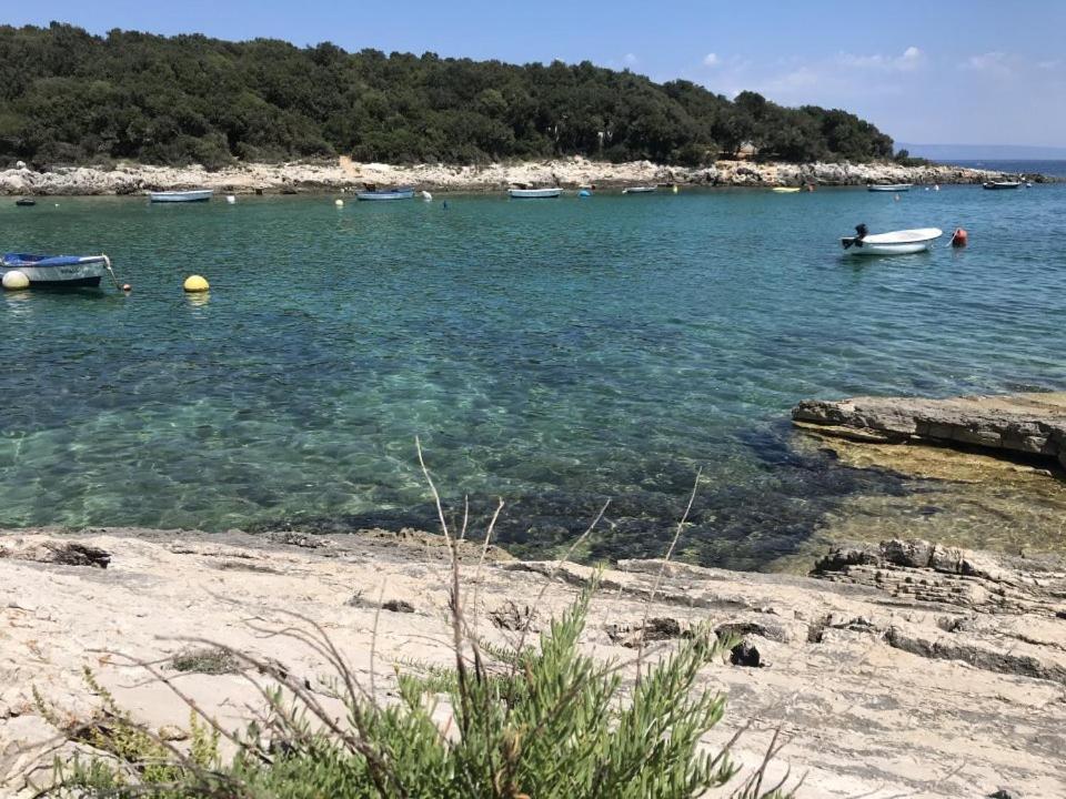 Apartment Zelena Oaza Sisan 75 M2 - 2 Bedrooms Εξωτερικό φωτογραφία
